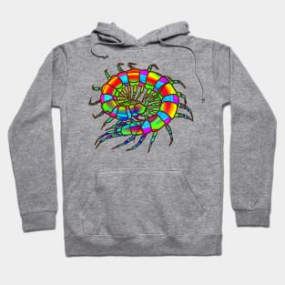 Rainbow Curled-Up Centipede Hoodie